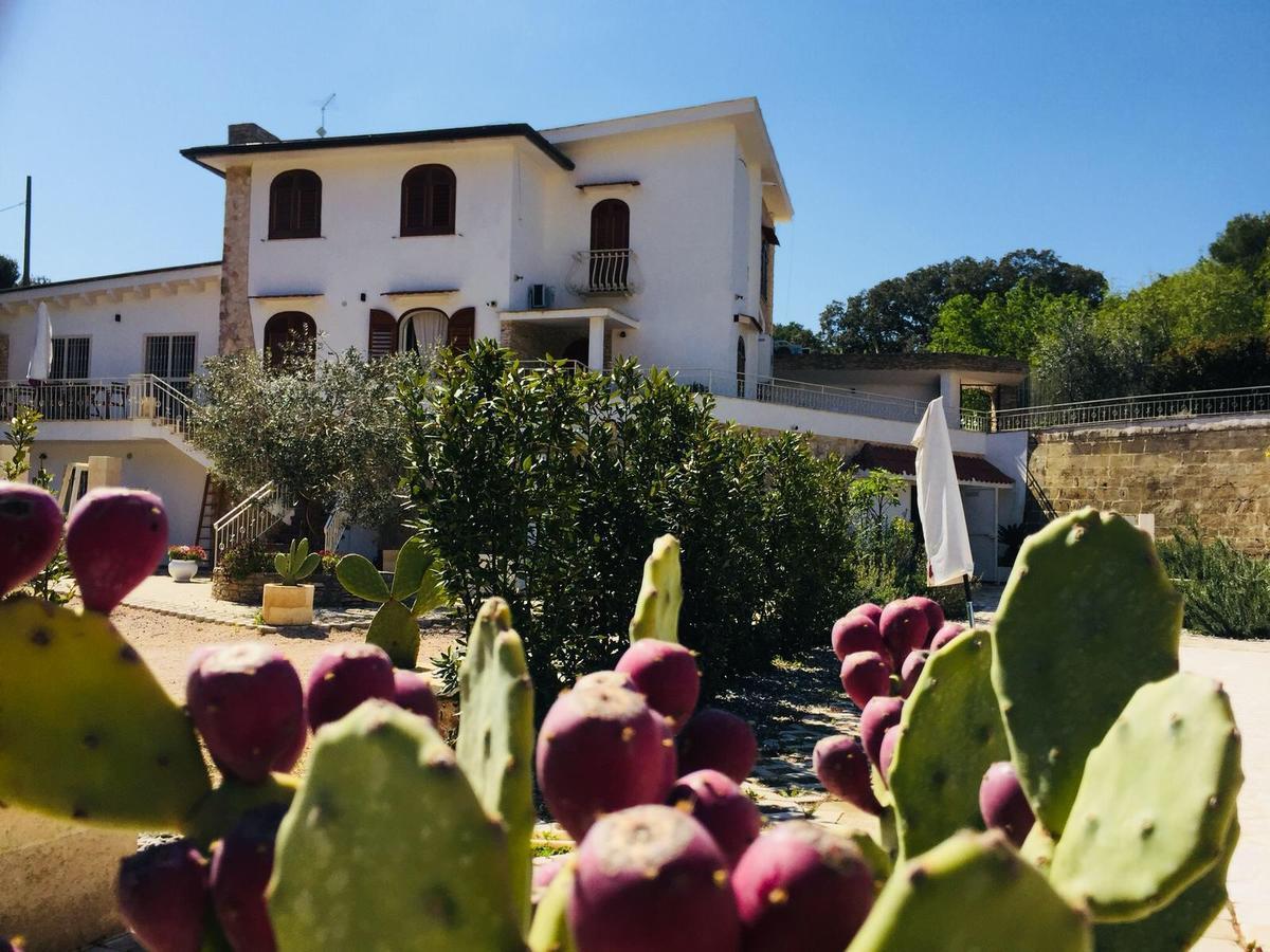 Tenuta Cardinale Manduria Luaran gambar